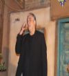 ایرج نوذری در جشنواره طهران قدیم باغ موزه قصر